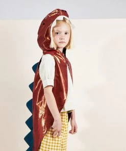 Meri Meri Dinosaur Costume