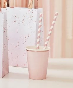 Meri Meri Pink Stripe Paper Straws
