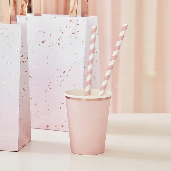 Meri Meri Pink Stripe Paper Straws 3 Meri Meri Pink Stripe Paper Straws