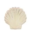 Meri Meri Pack of 8 Watercolor Glam Shell Plates